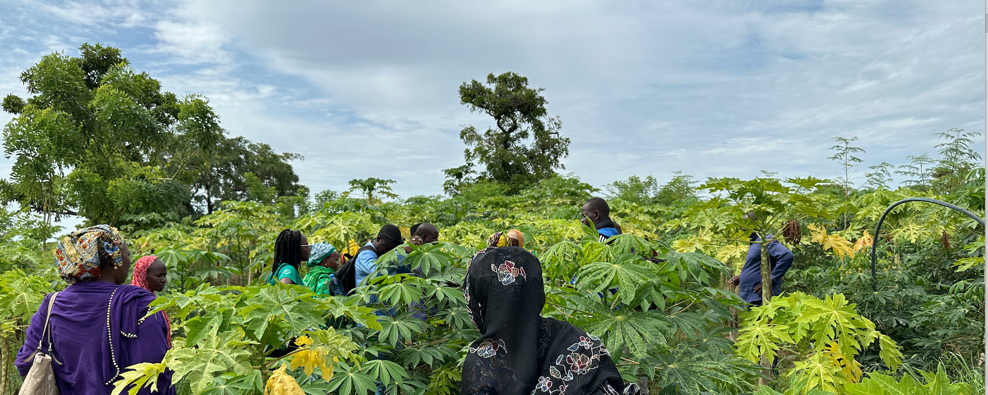 Can AI give African farmers better rain forecasts?